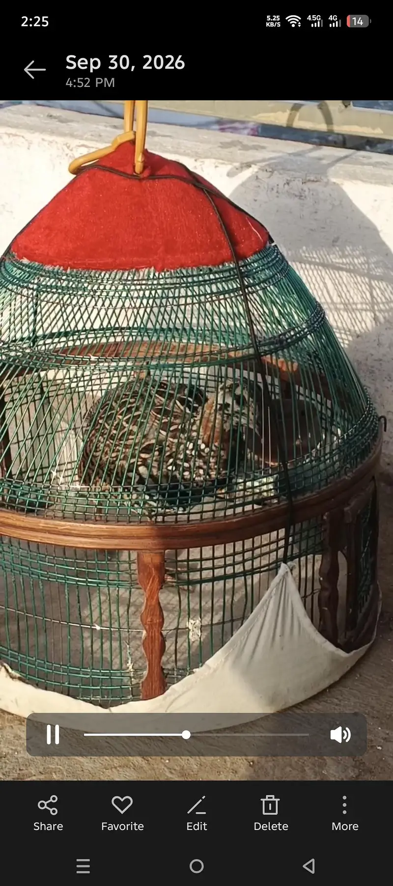 Kala ptha — photo 2