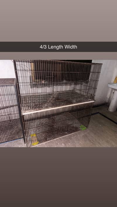 Parrot Cage