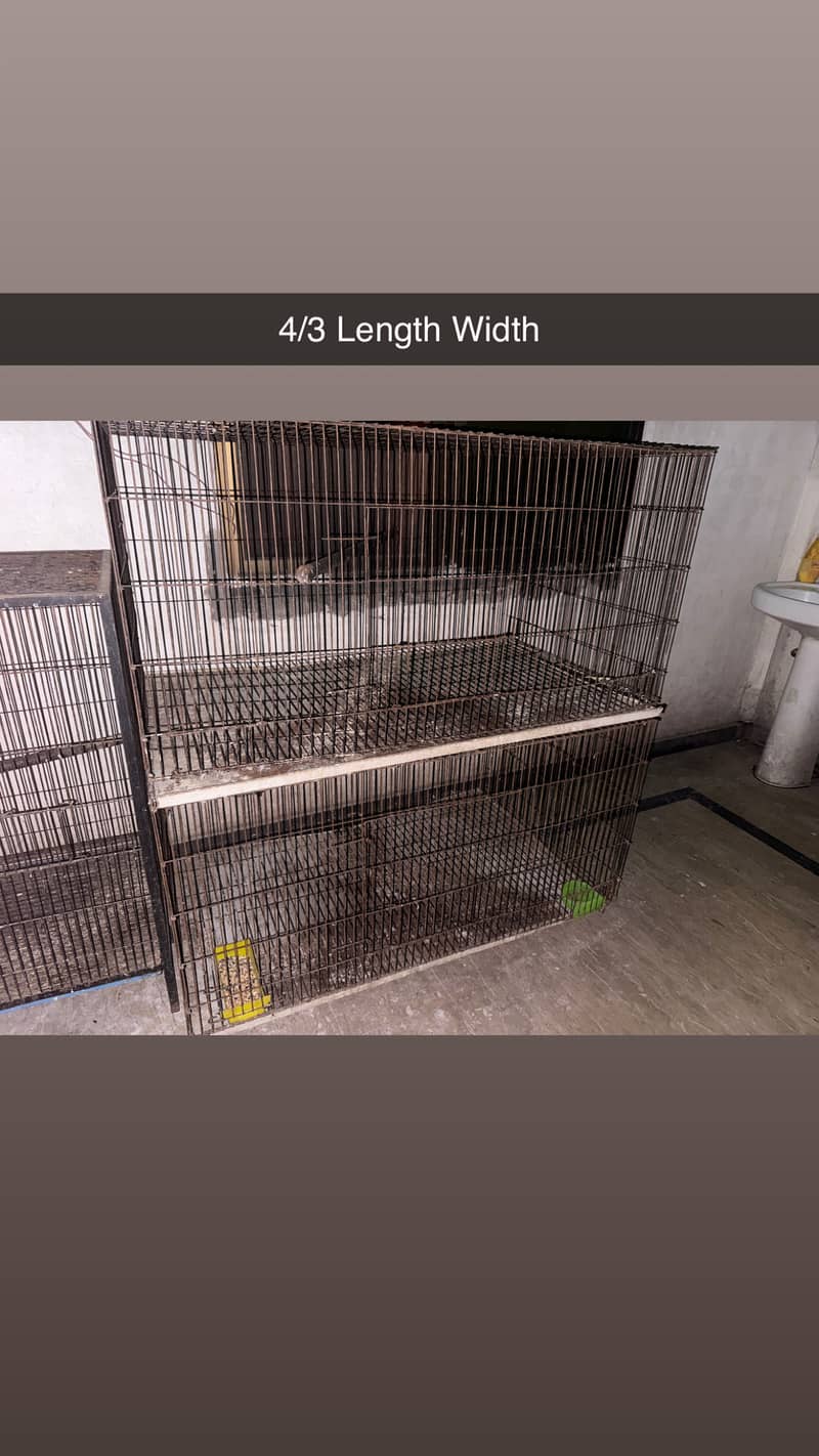 Parrot Cage 0