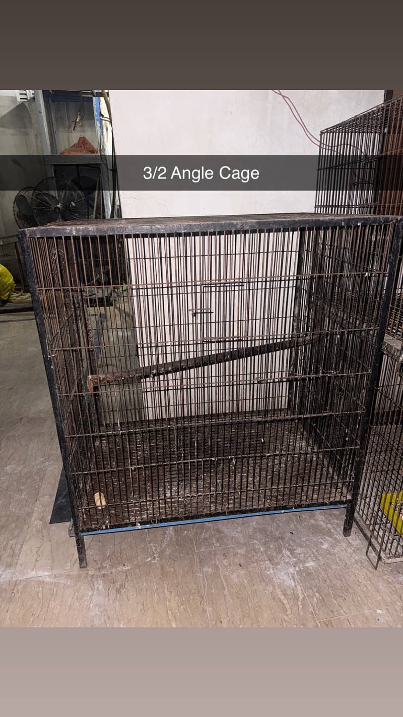 Parrot Cage 1