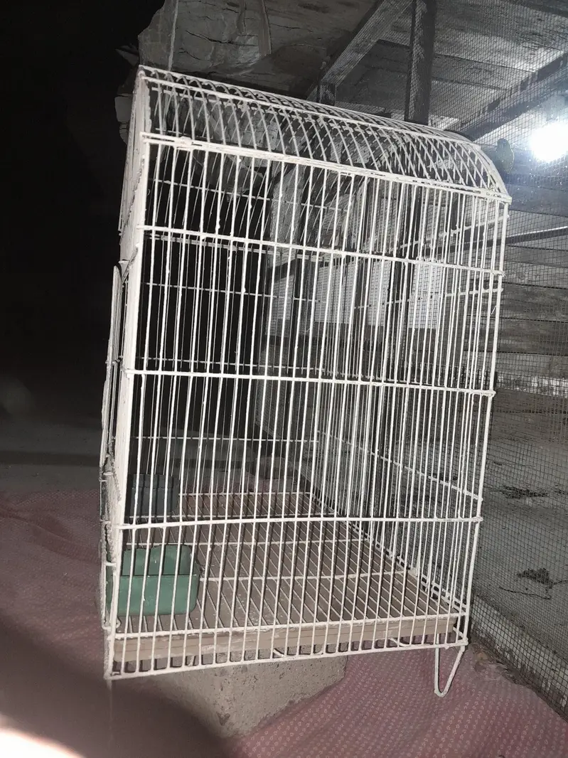 Large Bird Cage / Parrot Cage – Freshly Painted — photo 2
