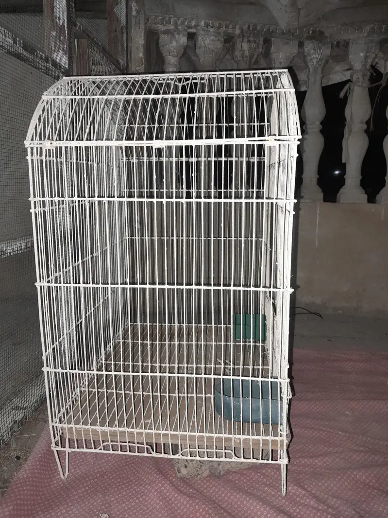 Large Bird Cage / Parrot Cage – Freshly Painted — photo 3