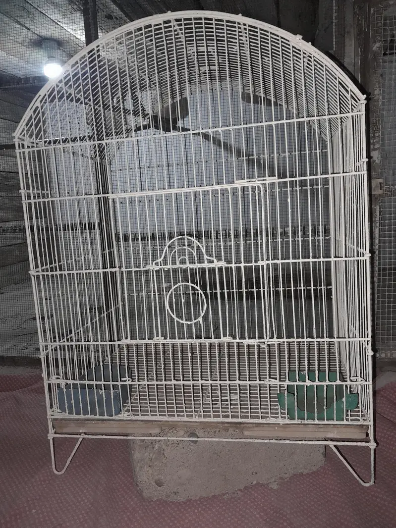 Large Bird Cage / Parrot Cage – Freshly Painted — photo 4