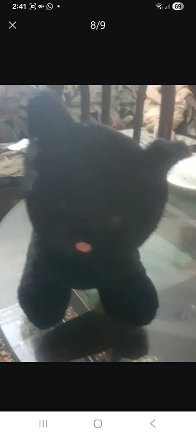almost new, imported beautiful Black Cat stuff toy