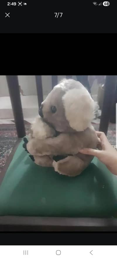 Imported and alomost new stuff toy koala bear with baby koala bear