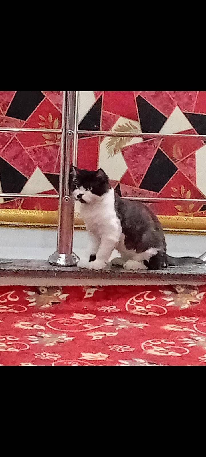 . . . . . . . 3