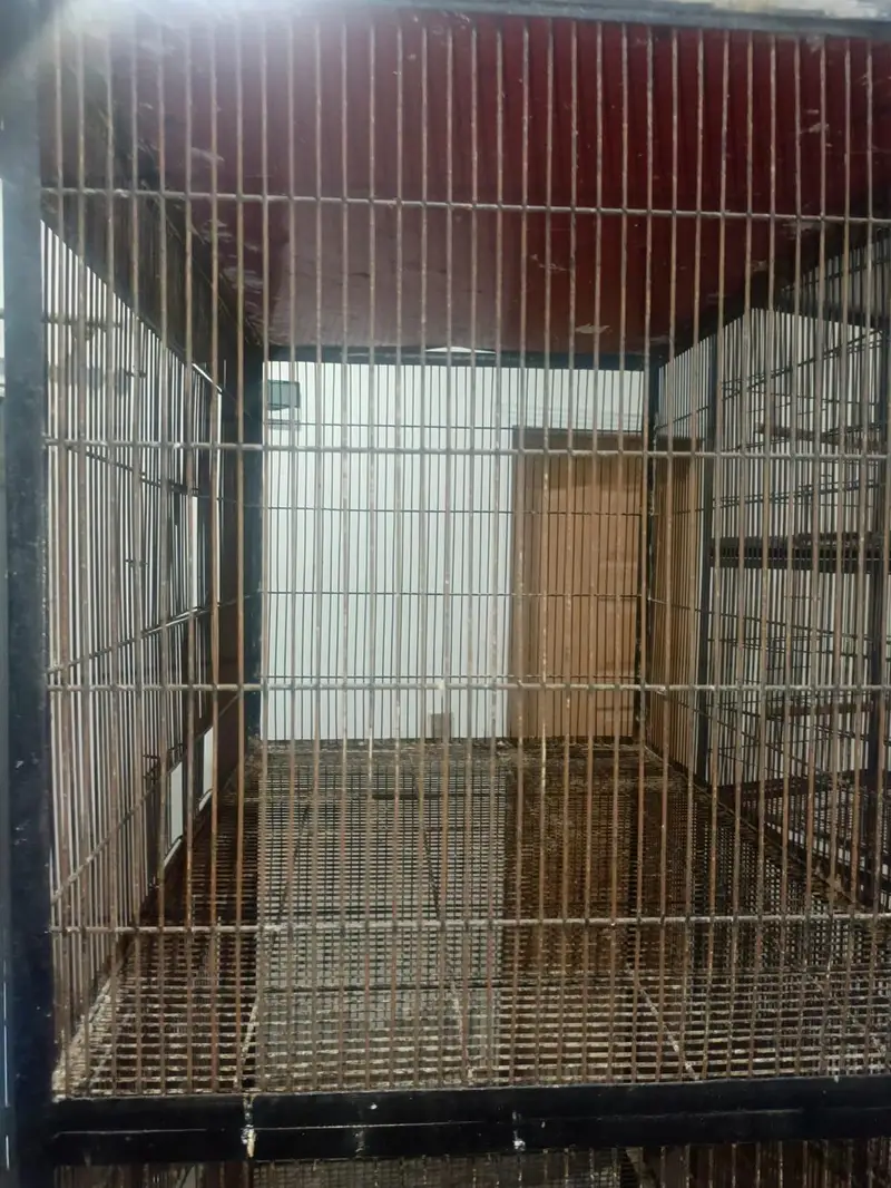 Second Hand Cage For Sale — photo 3