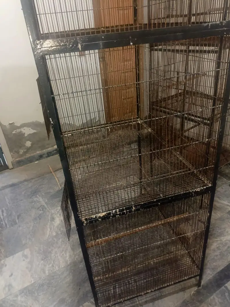 Second Hand Cage For Sale — photo 4