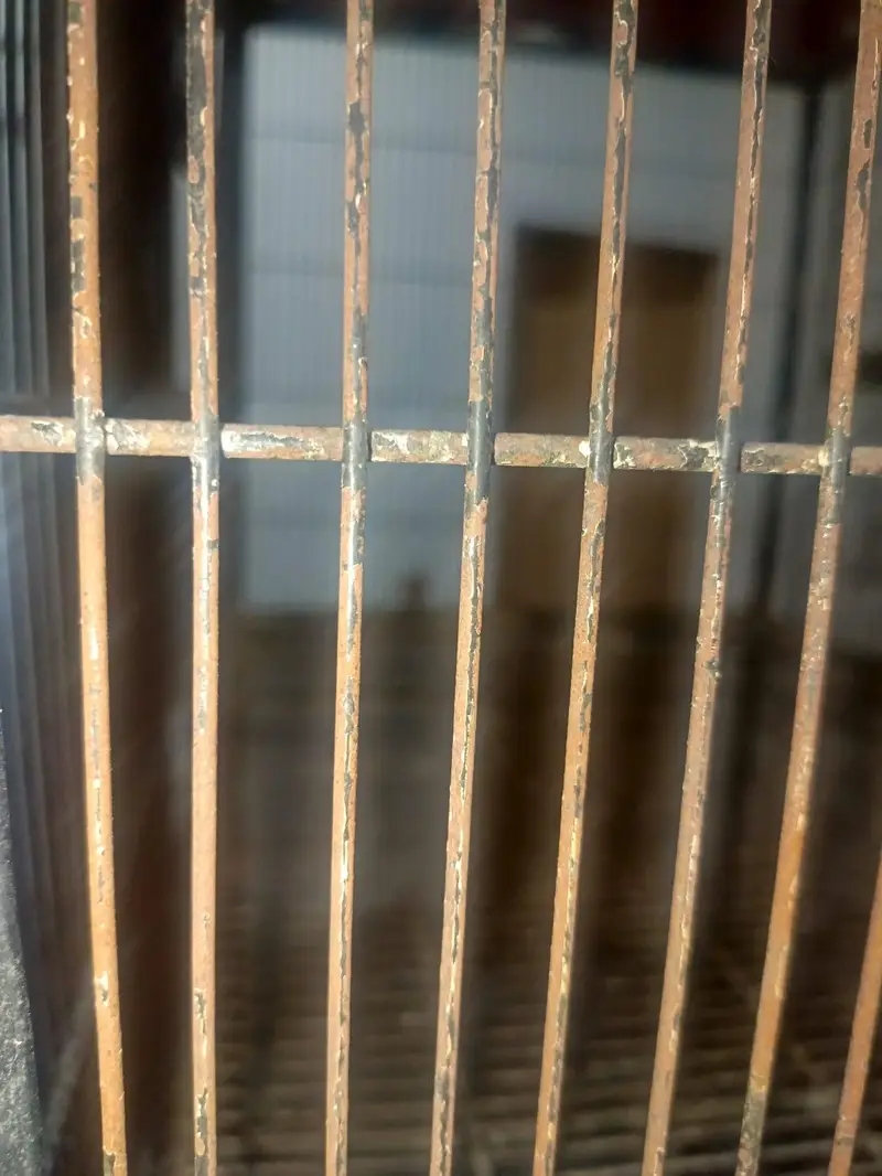Second Hand Cage For Sale — photo 5