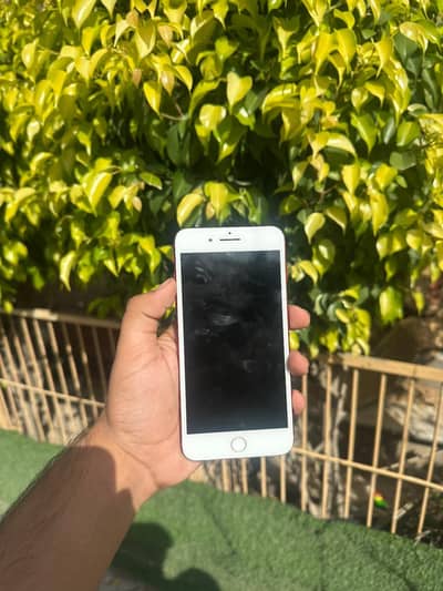 iPhone 7 Plus Official Approved