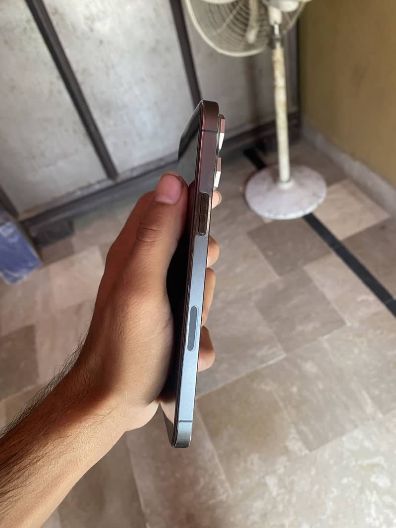 Apple iPhone 13 Pro Max 1