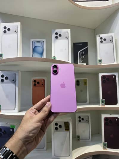 16 Plus Pink Sims Non Active