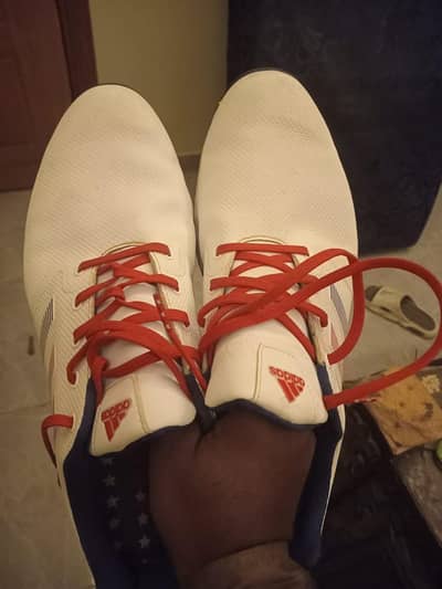 Cricket Spike's for sale