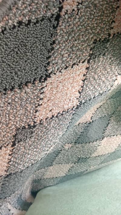 Carpet + fom