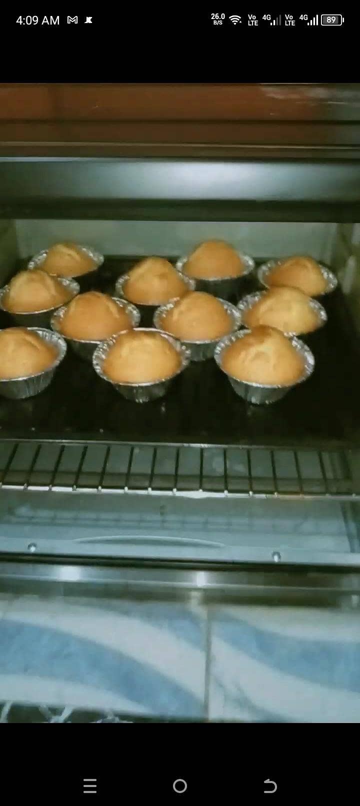 Elite baking oven 2