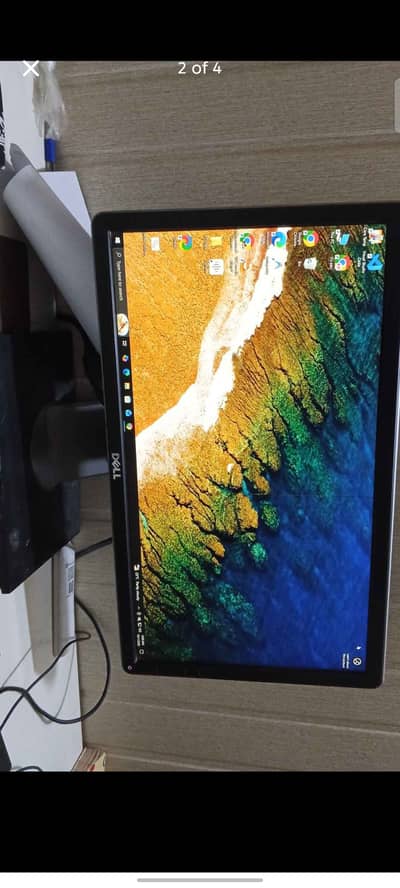 Dell IPS Monitor 19.5'