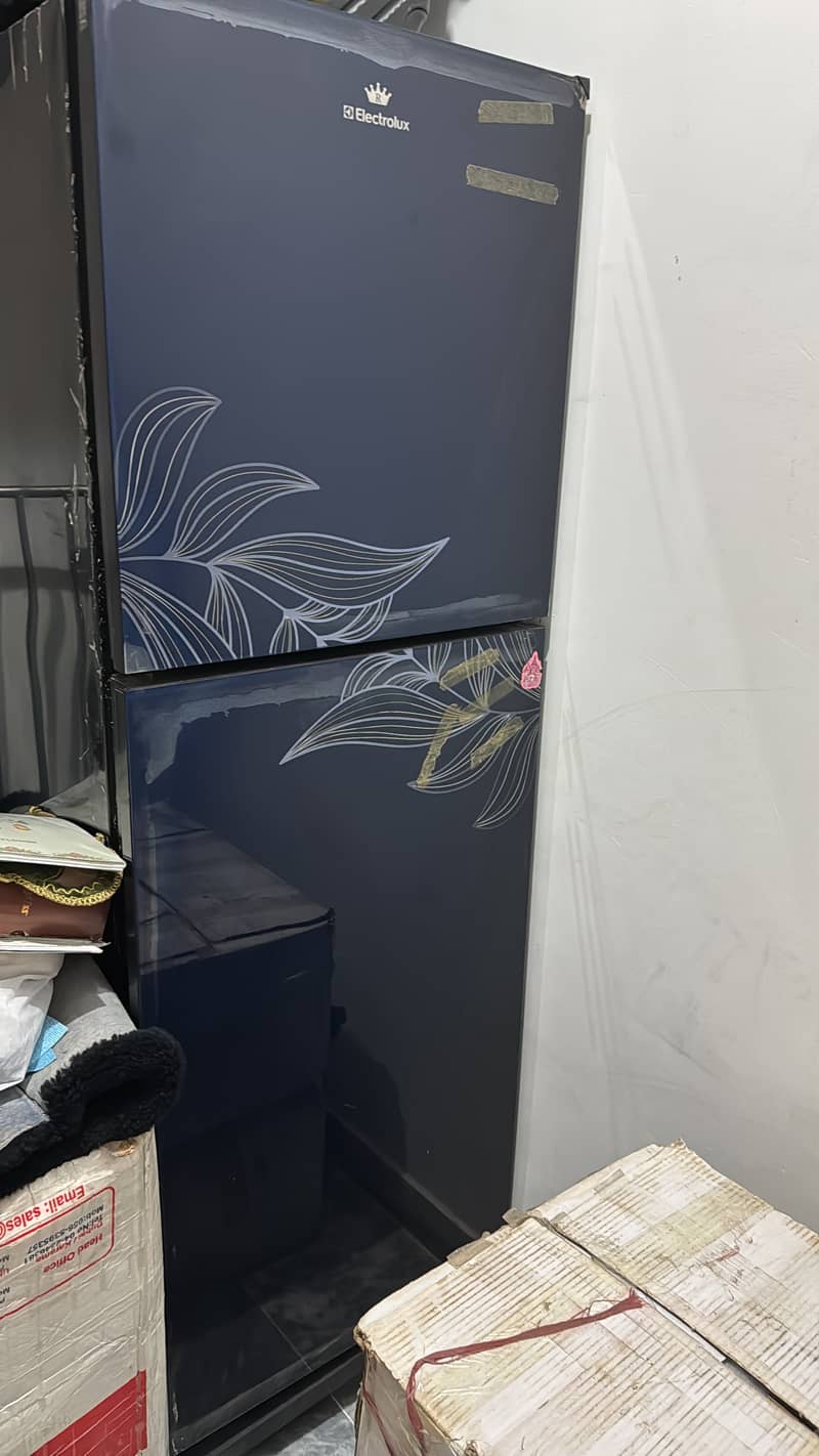Electrolux fridge 1