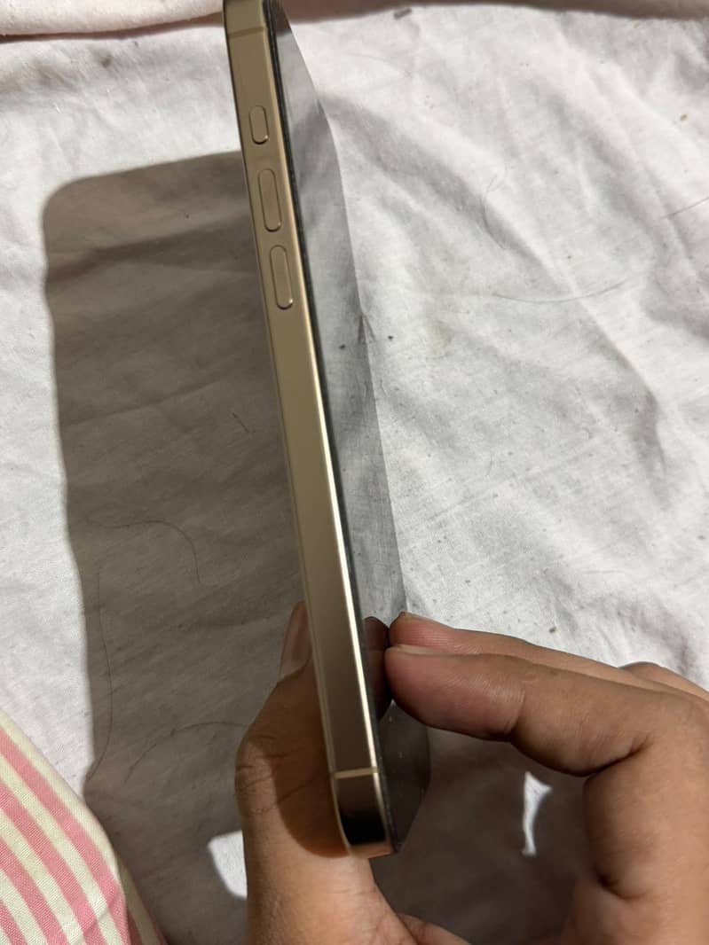 Apple iPhone 16 Pro Max 1