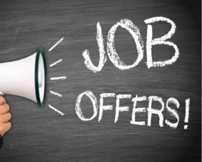 Need lady for online work