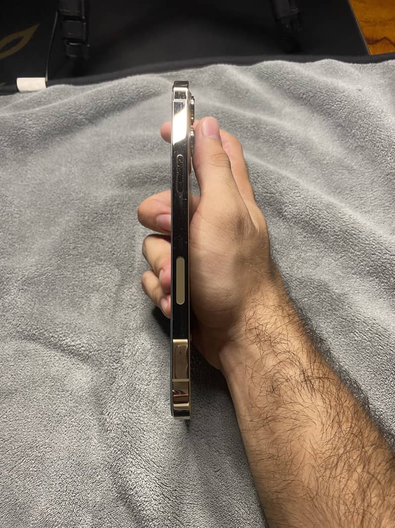Apple iPhone 12 Pro Max 2
