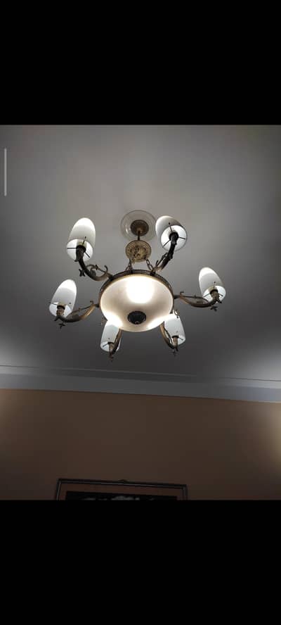 Fanus For Sale
