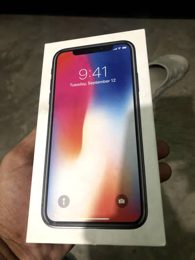 Apple iPhone X