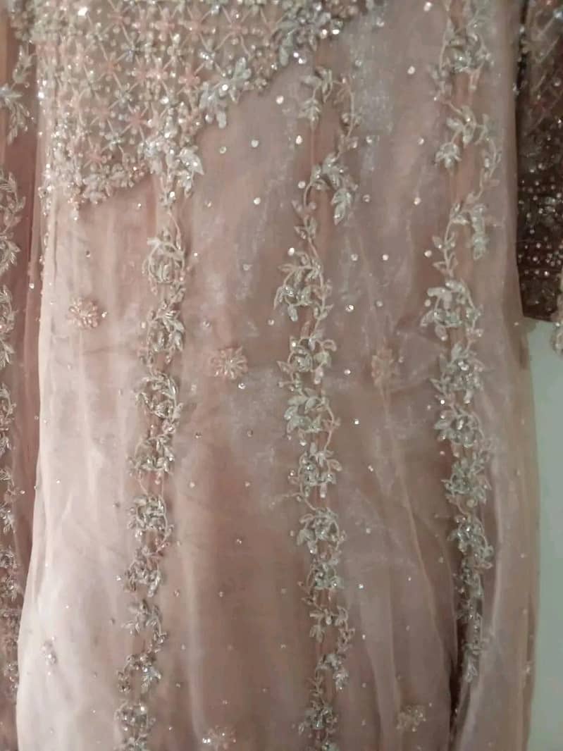Walima Maxi 1