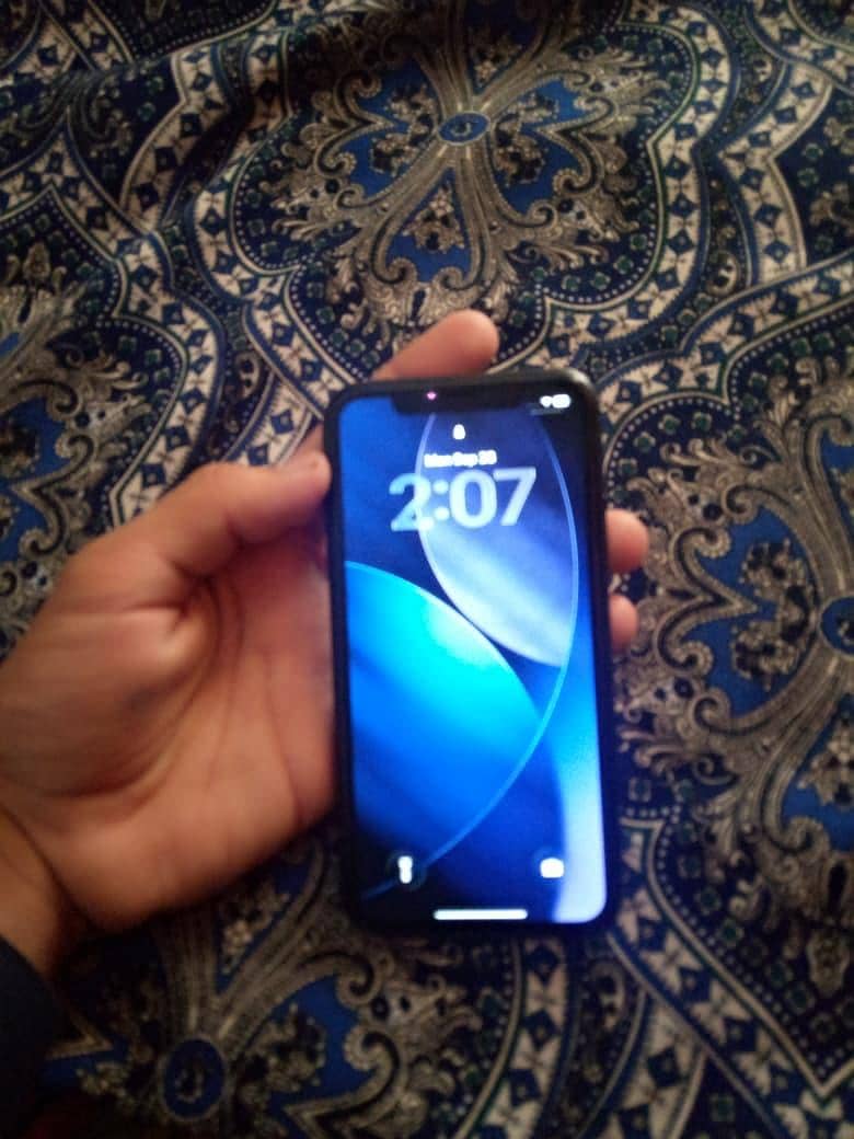 Apple iPhone 11 0