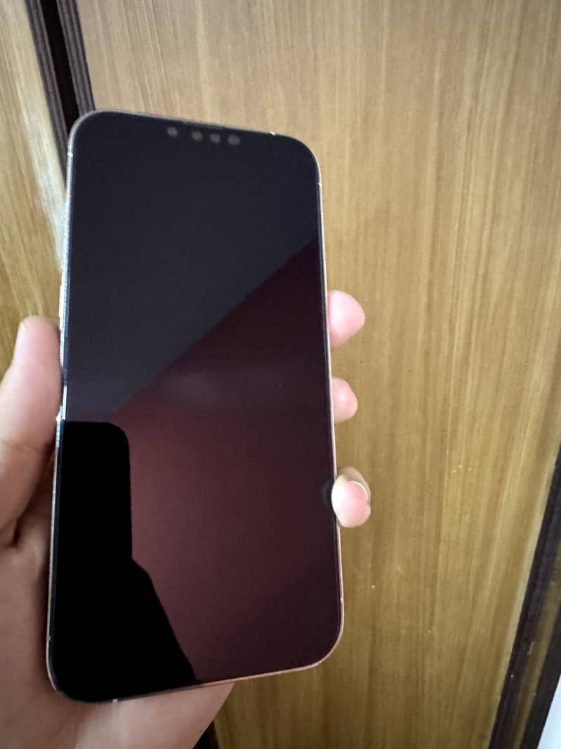 Apple iPhone 13 Pro Max 2
