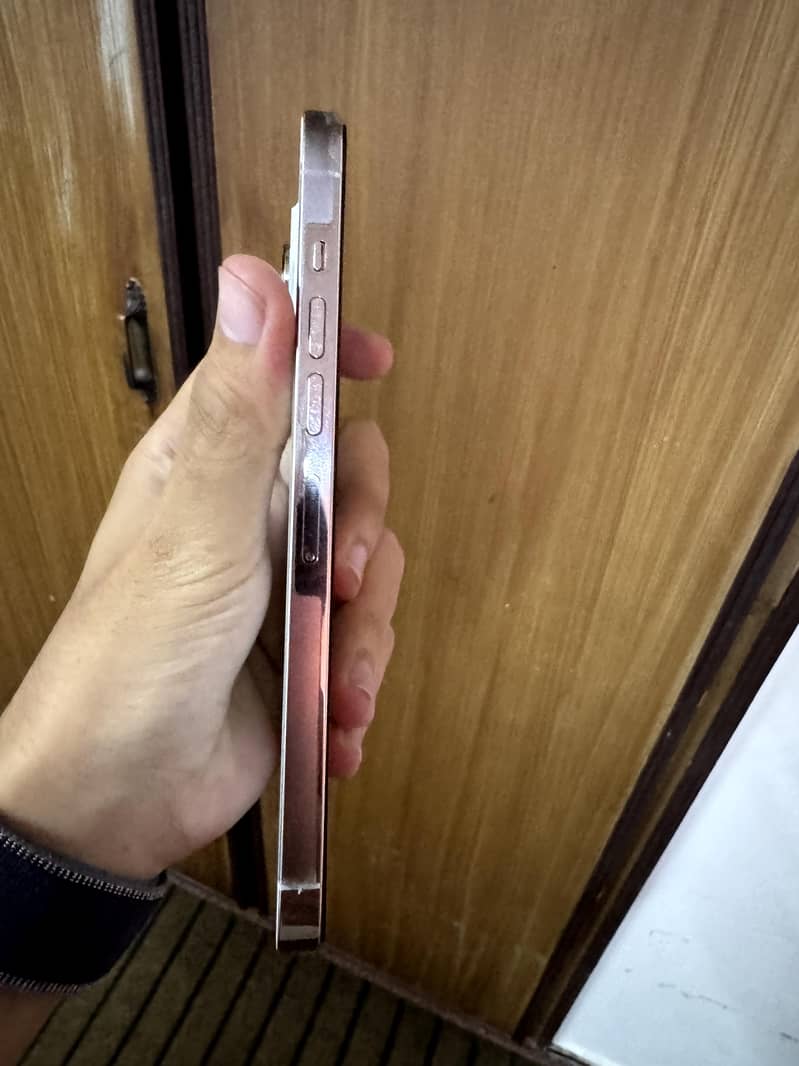 Apple iPhone 13 Pro Max 3