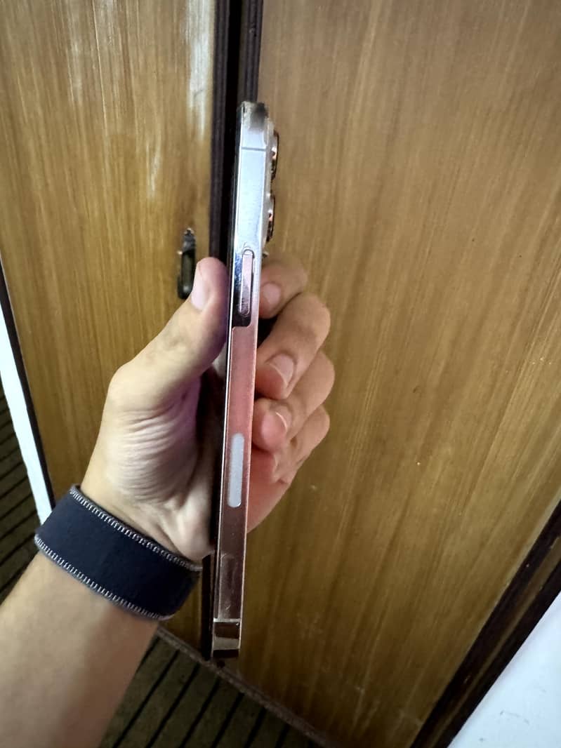 Apple iPhone 13 Pro Max 4