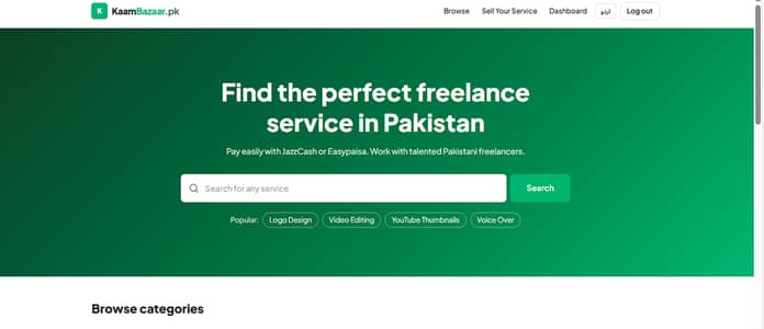 Fiverr Level Seller - Professional Website Development