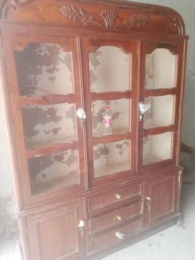 showcase 03346025002