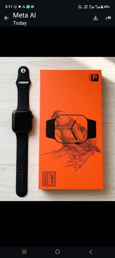 fere fit horse edittion ws13 max watch