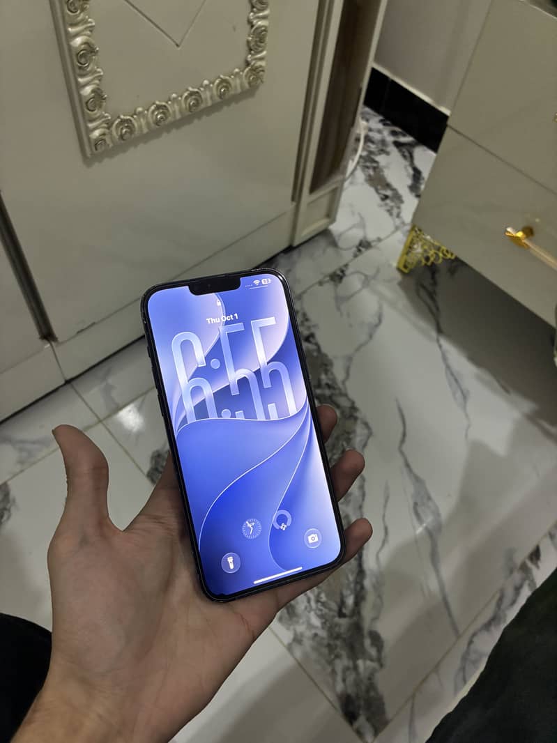 Apple iPhone 13 Pro Max 1