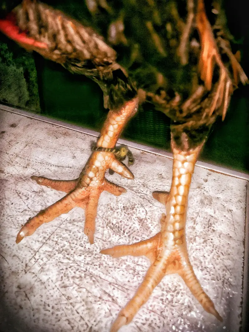 For sale — photo 4