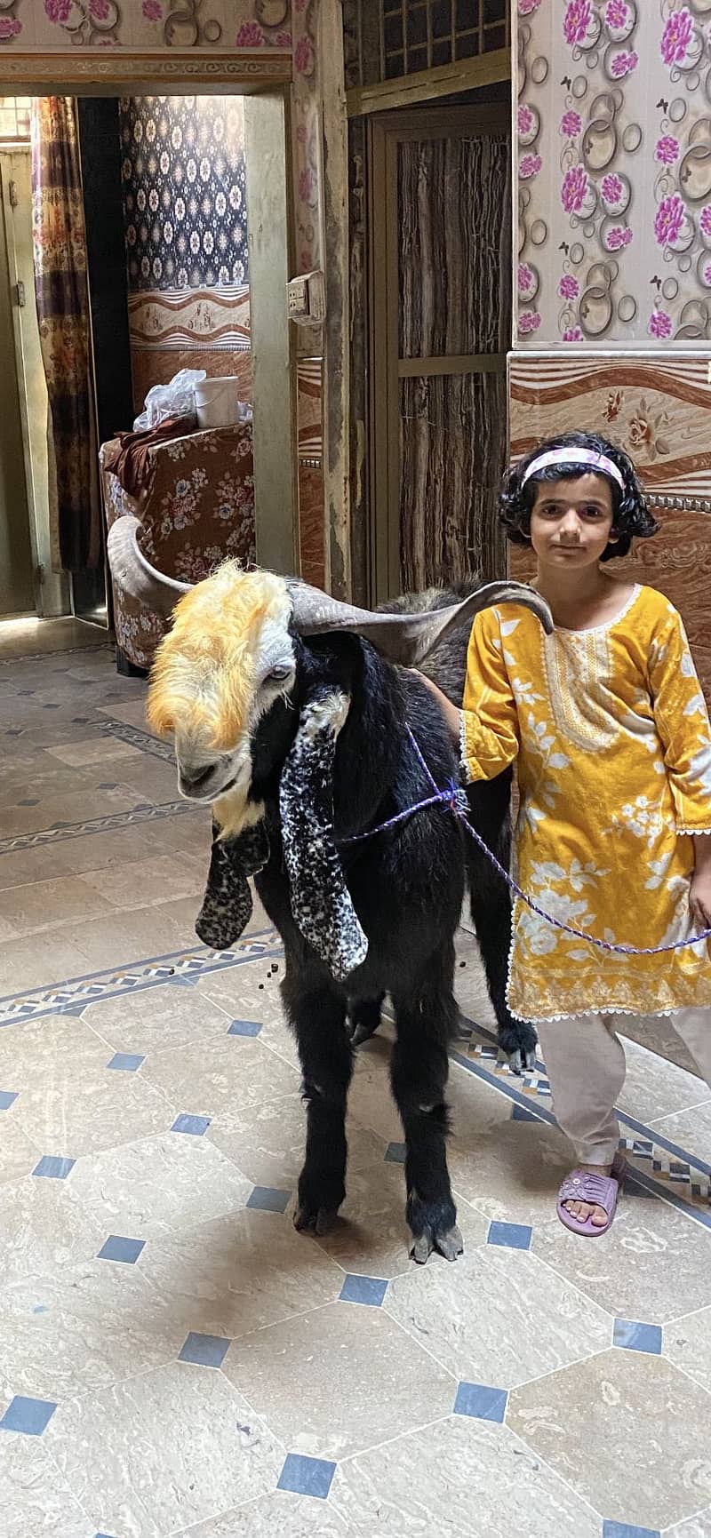 Bakra 1