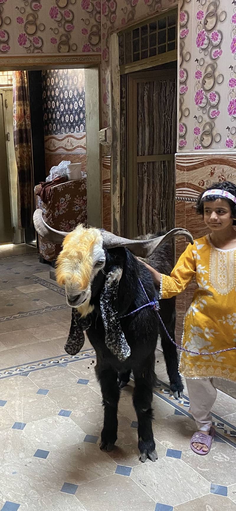 Bakra 2