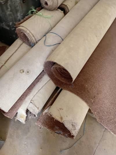 Heavy Brown carpet