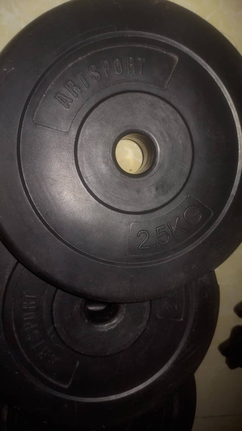 4 weight plates 2