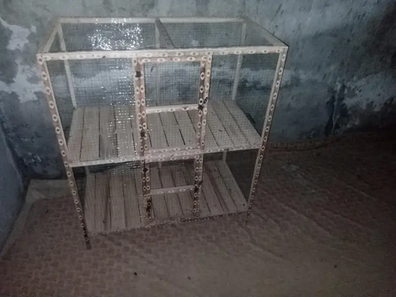 Birds cages breeding boxes food accessories rabbits cages — photo 2