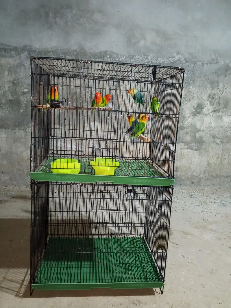 Birds cages breeding boxes food accessories rabbits cages — photo 3