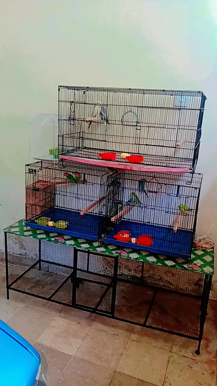 Birds cages breeding boxes food accessories rabbits cages — photo 4