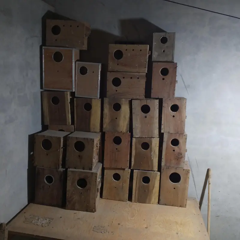Birds cages breeding boxes food accessories rabbits cages — photo 5