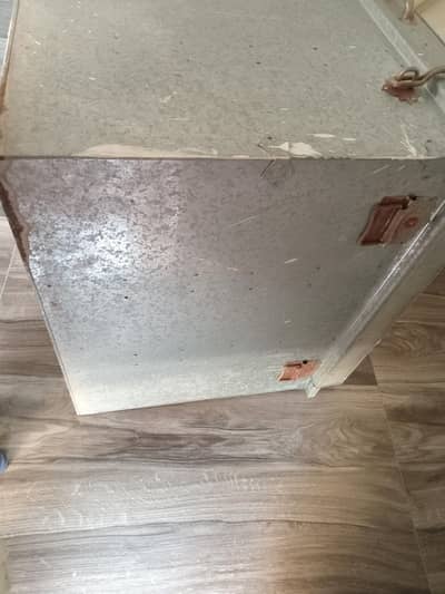 Trunk Pati