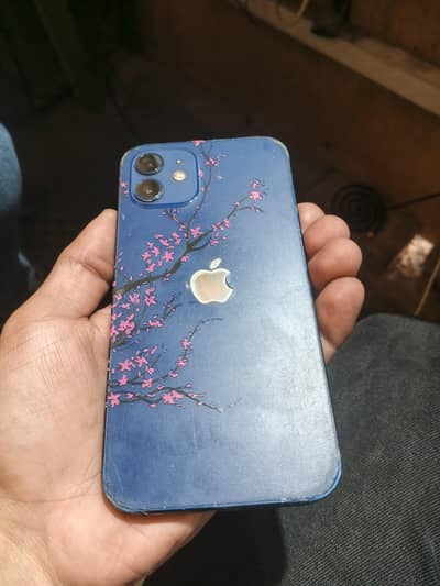 Apple iPhone 12