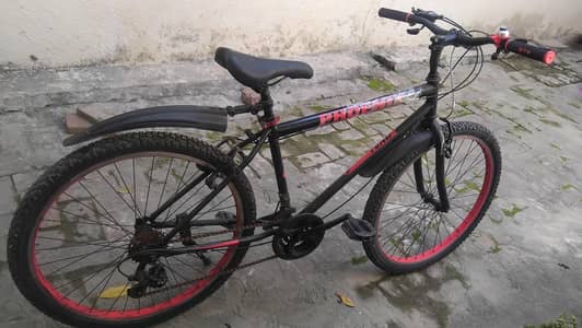 Phoenix Cycle For sale