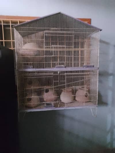 parrot cage