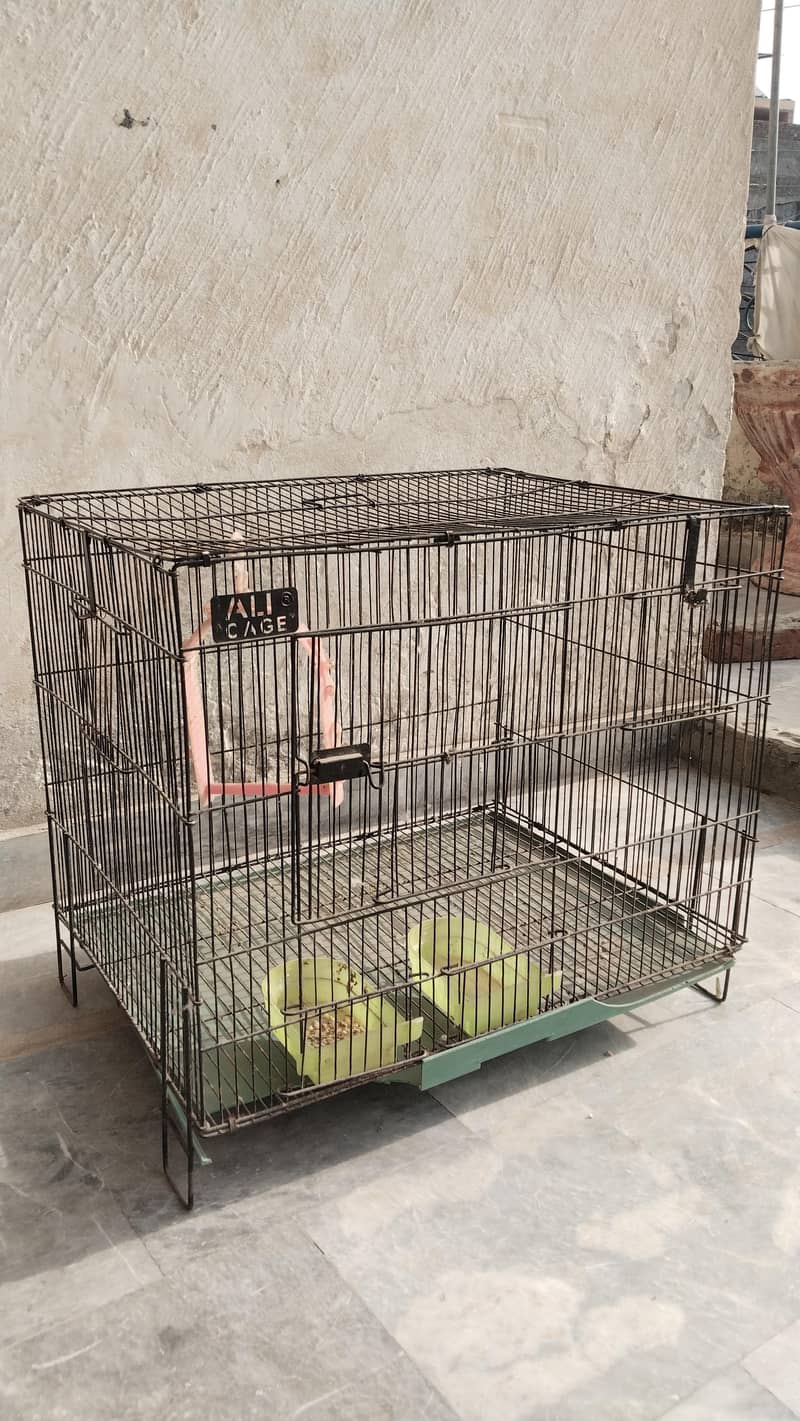 bird cage 0