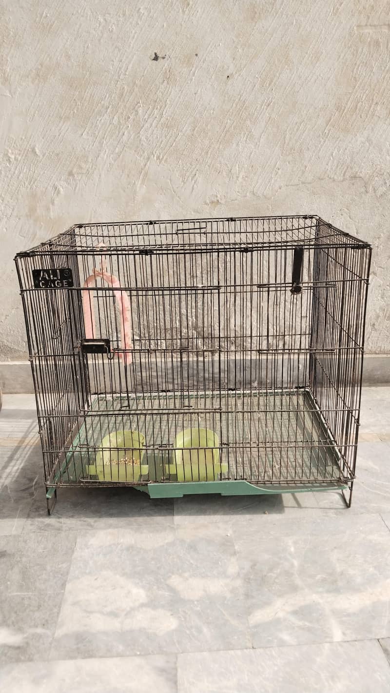 bird cage 1